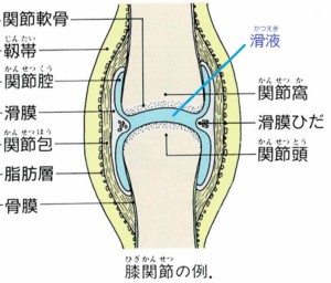 Cmtとは