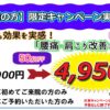 初回50%割引