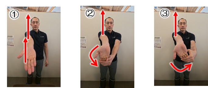 前腕の内側ストレッチ