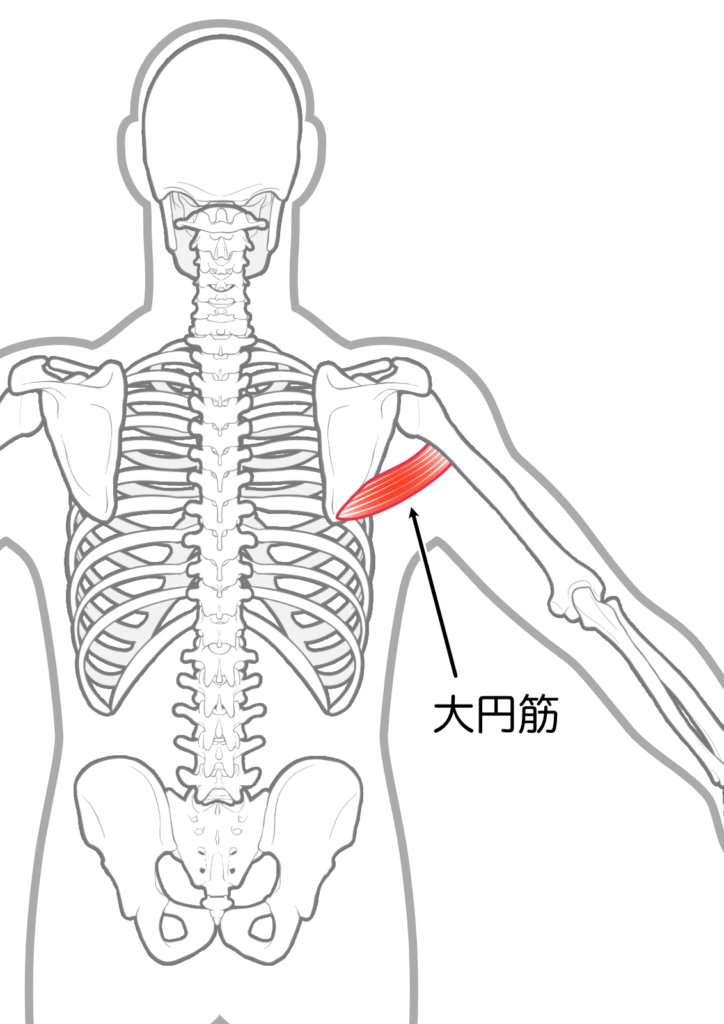 大円筋の場所