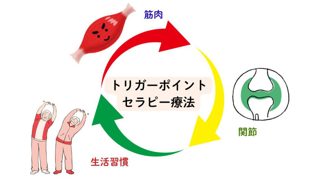 筋肉・関節・生活習慣の3つのアプローチ